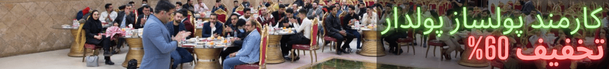پولسازر پولدار