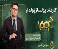 کارمند پولساز پولدار
